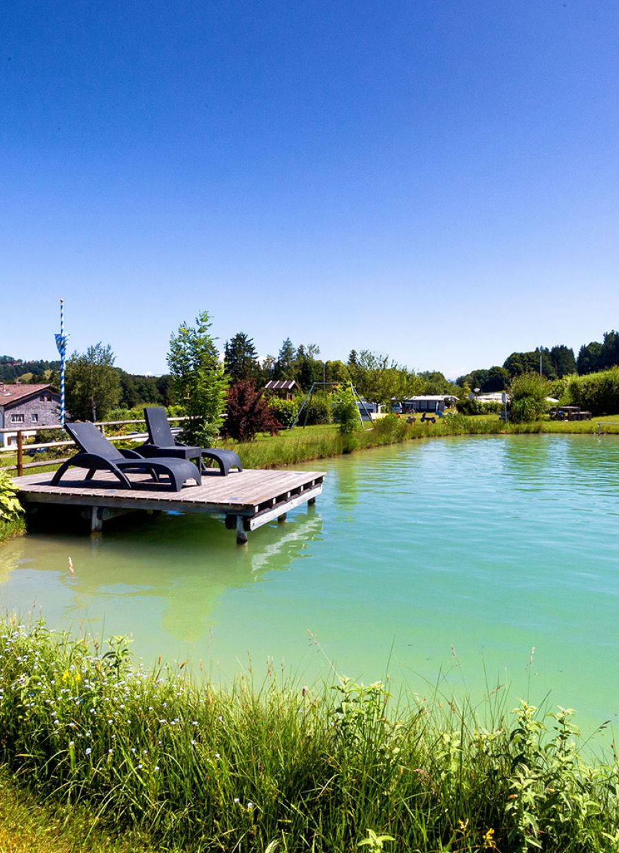Blick auf die Plattform mit Liegen am Weiher